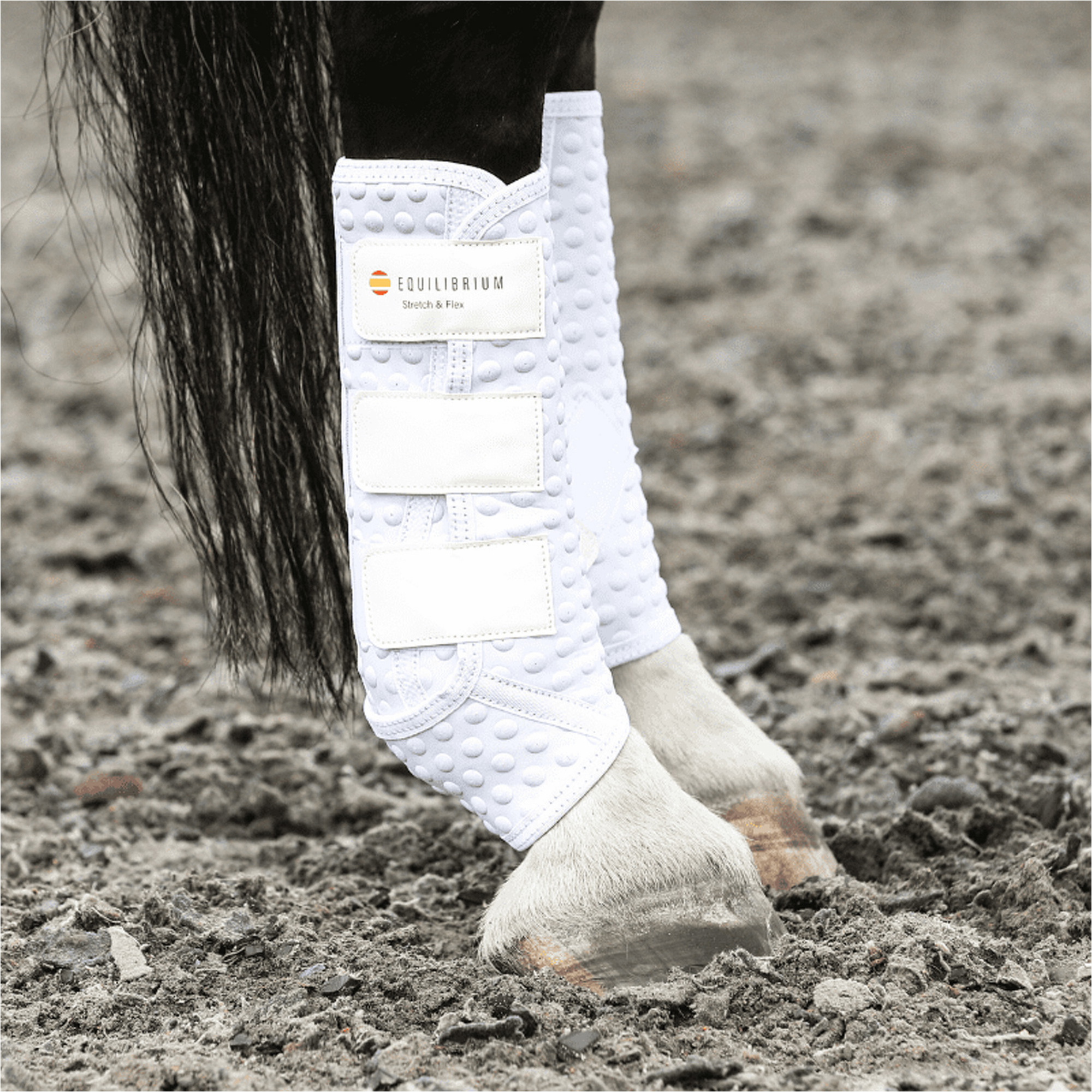 Equilibrium Strecken & Biegen Ausbildung Wickeln 713 - White